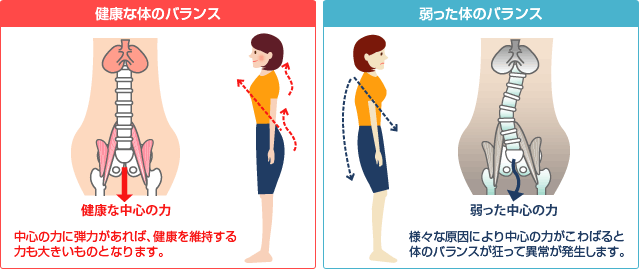 健康な体のバランス 健康な中心の力 中心の力に弾力があれば、健康を維持する力も大きいものとなります。 弱った体のバランス 健康な中心の力 中心の力に弾力があれば、健康を維持する力も大きいものとなります。